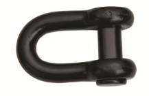 Szakla końcowa typu D